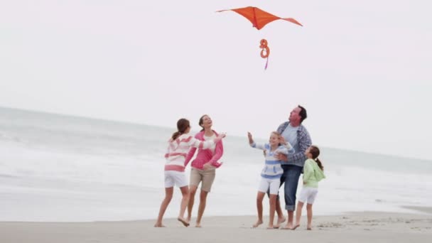 Familie met vliegende kite op strand — Stockvideo