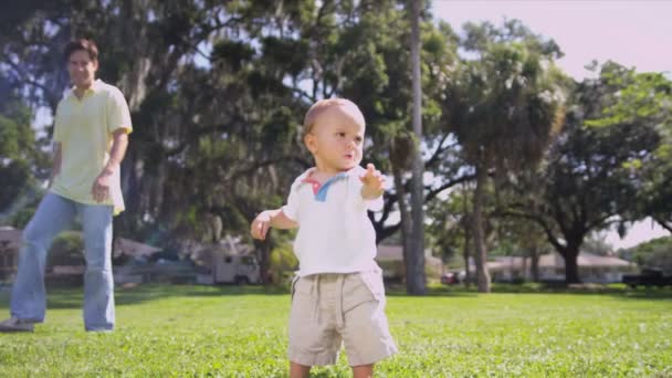 Kaukasische vader genieten van tijd met peuter zoon — Stockvideo