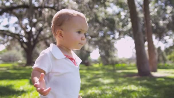 Baby boy walking barefoot on grass in park — Stock Video