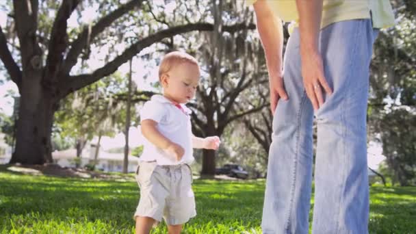 Beyaz baba yürümeye başlayan çocuk oğlu ile zaman zevk — Stok video