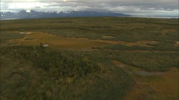 Alaska landschap met sneeuw gletsjerrivier — Stockvideo