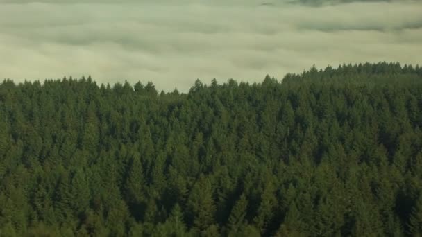 Oregon gewassen boerderij vallei industrie planten — Stockvideo