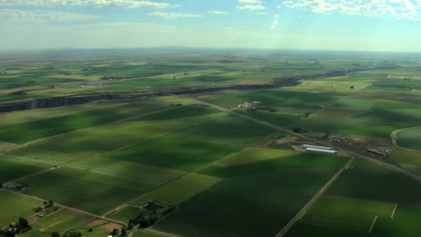 Idaho jordbruket grödor vegetation fält — Stockvideo