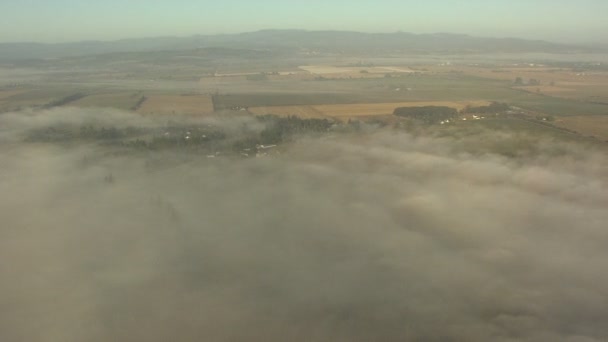 Cultures agricoles végétation agricole avec nuages — Video