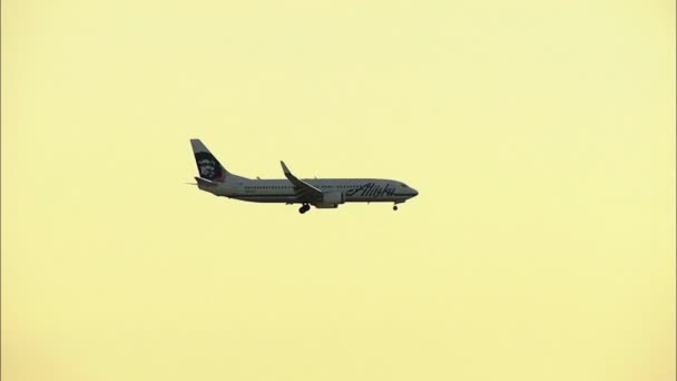 Avión de línea aérea aterrizando al atardecer — Vídeos de Stock