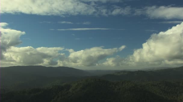 Aérien Californie USA terres agricoles forêt nature lumière du jour — Video