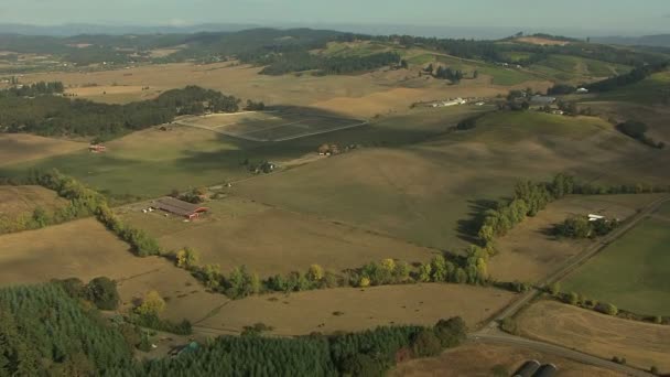 Oregon landwirtschaftliches Ackerland — Stockvideo