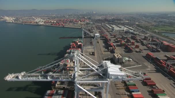 Konteyner Port Oakland San Francisco — Stok video