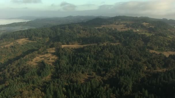 Oregon Farming crops agricultural Landscape — Stock Video