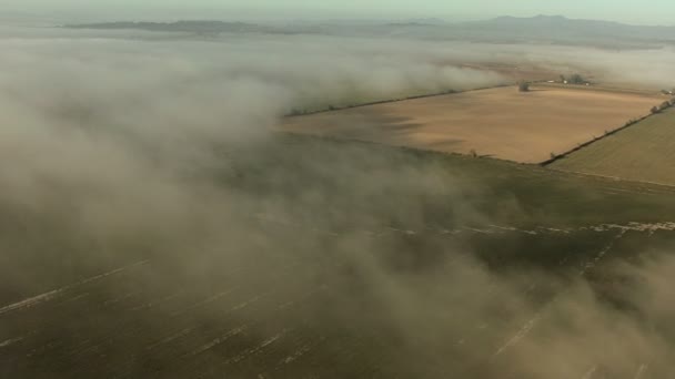 Όρεγκον γεωργικό τομέα με σύννεφα — Αρχείο Βίντεο