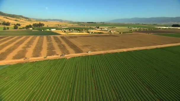 Campos agrícolas cultivos agrícolas — Vídeos de Stock