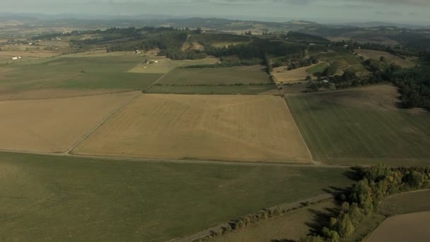 Oregon grödor farm valley industrin plantering — Stockvideo