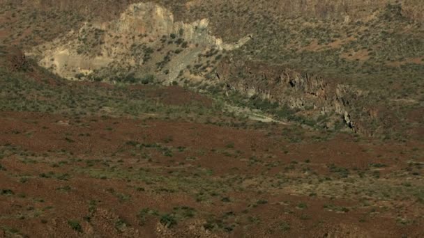 Aerial Baja Kalifornien öknen vildmarken — Stockvideo