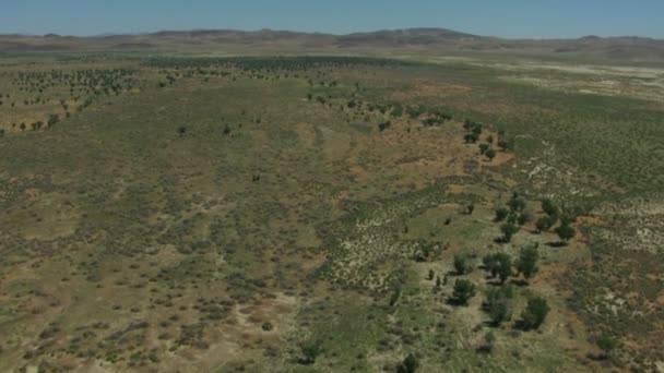 Vadon élő környezet Ranch földterületek síkság — Stock videók
