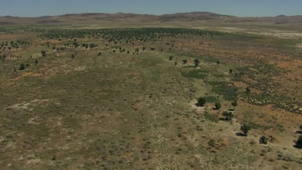 Medio ambiente salvaje llanuras de tierra Rancho — Vídeo de stock