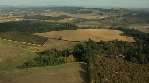 Oregon landbouw gewassen agrarische landschap — Stockvideo