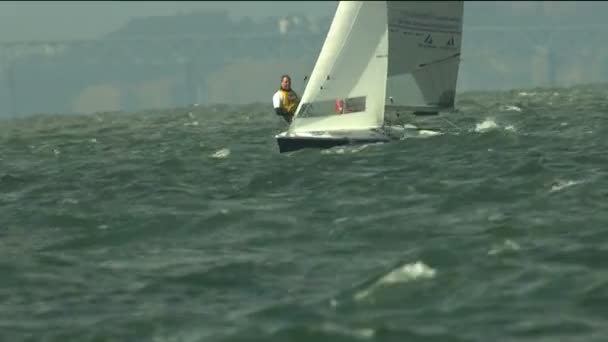 Zeilboot Regatta Yachting Dinghy Racing — Stockvideo