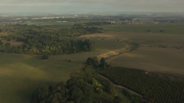 Oregon gewassen veld agrarische landschap — Stockvideo