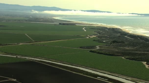 Cultivos agrícolas Océano agrícola — Vídeo de stock