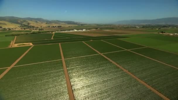 Landwirtschaftliche Felder, die Nutzpflanzen anbauen — Stockvideo