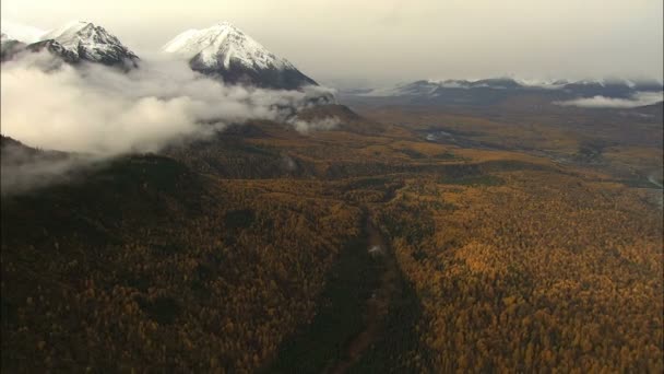 空中的阿拉斯加山范围高峰 — 图库视频影像