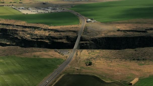 Aerial USA Idaho agriculture arable farmland vegetation — Stock Video