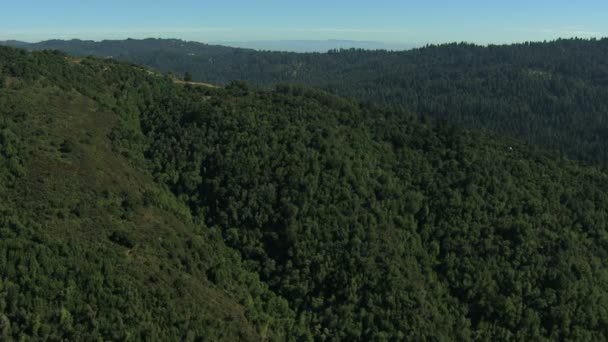 Luchtfoto Californië landbouwgrond bos aard daglicht — Stockvideo
