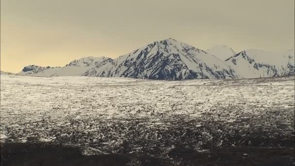 阿拉斯加景观与白雪峰 — 图库视频影像