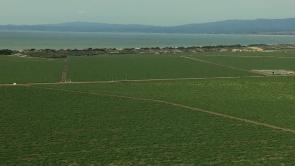 Kalifornien jordbruket grödor jordbruks vegetation — Stockvideo