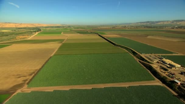 Felder für landwirtschaftliche Nutzpflanzen — Stockvideo