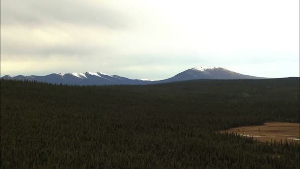 Aerial Alaskan National Park Landscape — Stock Video