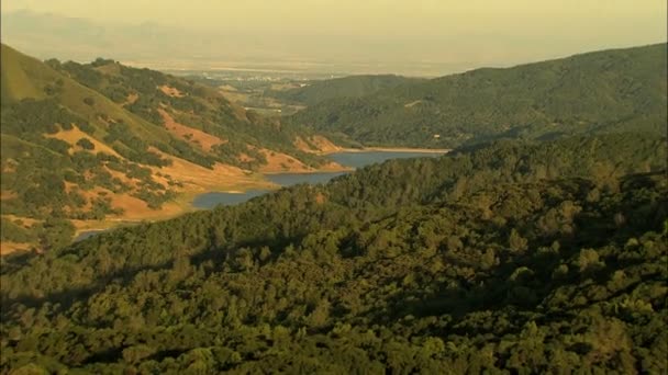 Californie terres arables collines forestières — Video