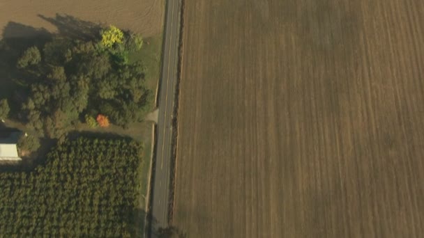 Oregon cultivos agrícolas paisaje agrícola — Vídeos de Stock