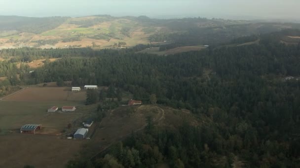 Oregon jordbruket grödor jordbrukslandskapet — Stockvideo