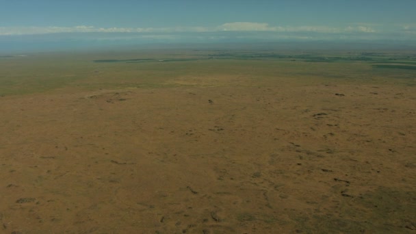 Aerial Idaho USA lava vegetation plant scenic desert — Stock Video