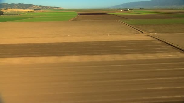 Landwirtschaftliche Felder, die Nutzpflanzen anbauen — Stockvideo