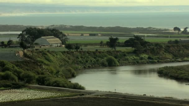 Culturas agrícolas oceano agrícola — Vídeo de Stock