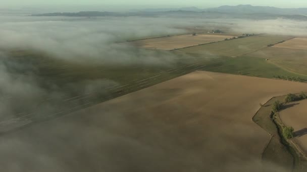 Oregon culturas agrícolas paisagem agrícola — Vídeo de Stock