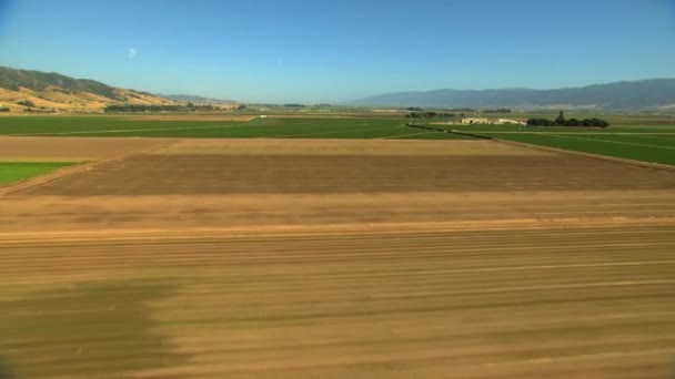 Landwirtschaftliche Felder, die Nutzpflanzen anbauen — Stockvideo