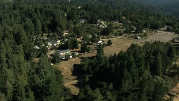 Luchtfoto Californië landbouwgrond bomen bos aard daglicht — Stockvideo