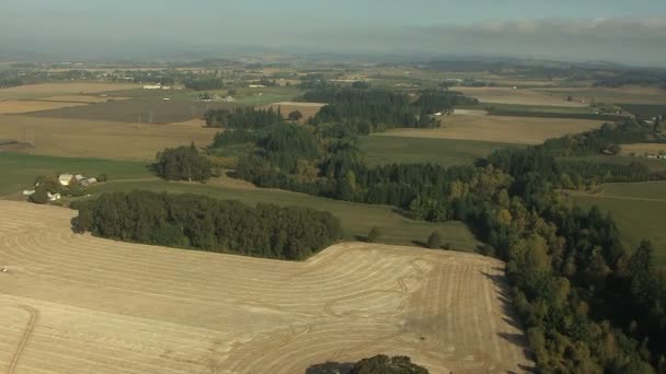 Oregon crops field agricultural landscape — Stock Video