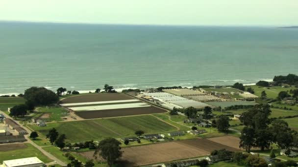 Aerial Coastal Agricultura culturas agrícolas Monterey EUA — Vídeo de Stock