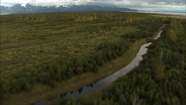 Na Aljašce národní Park bažina tundra — Stock video