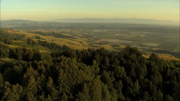 California Pacific terreni agricoli colline forestali — Video Stock