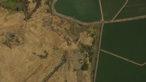 Kalifornien landwirtschaftliche Nutzpflanzen landwirtschaftliche Vegetation — Stockvideo