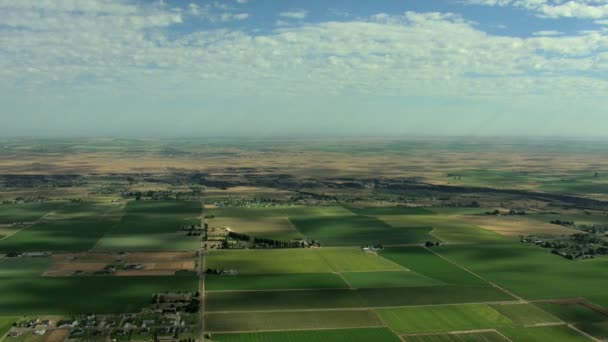 Idaho jordbruksmark bevattning mat — Stockvideo