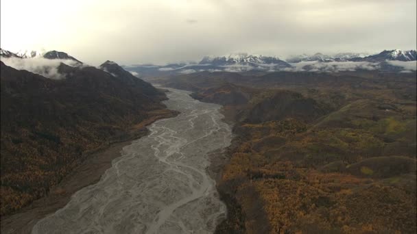 Aerial Alaska forest with melt water — Stock Video