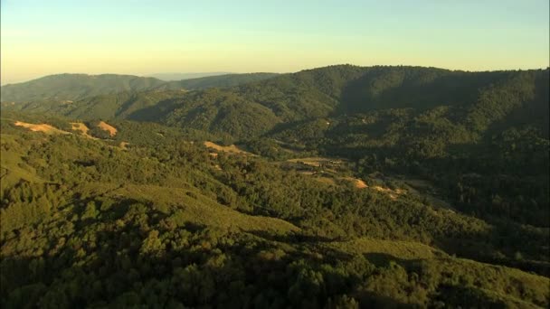 California Pacific vegetación forestal de tierras de cultivo — Vídeos de Stock