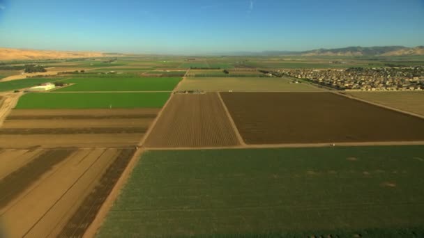 Fields of farming crops — Stock Video