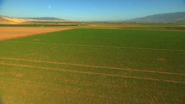 Landwirtschaftliche Felder, die Nutzpflanzen anbauen — Stockvideo